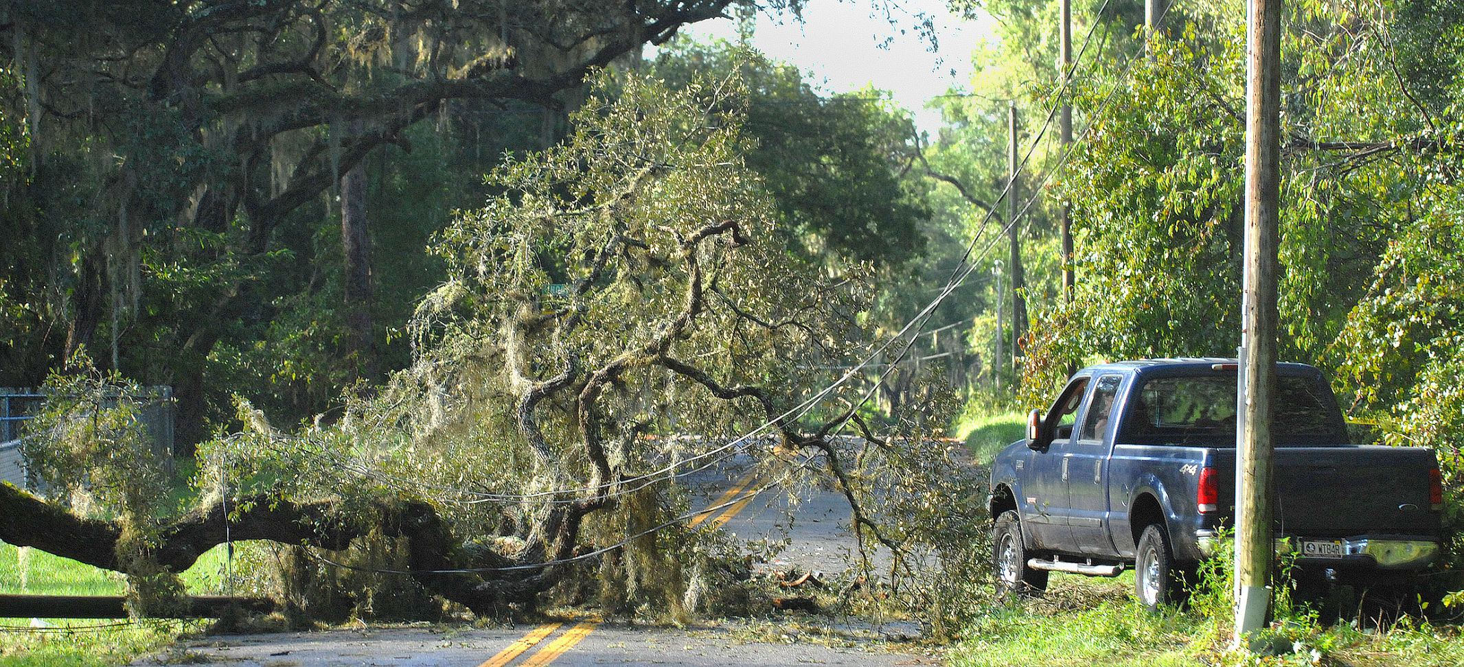Irma down powerlines